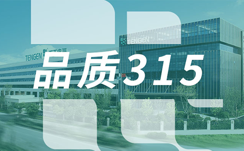 品質315，天正樹立斷路器品控標桿