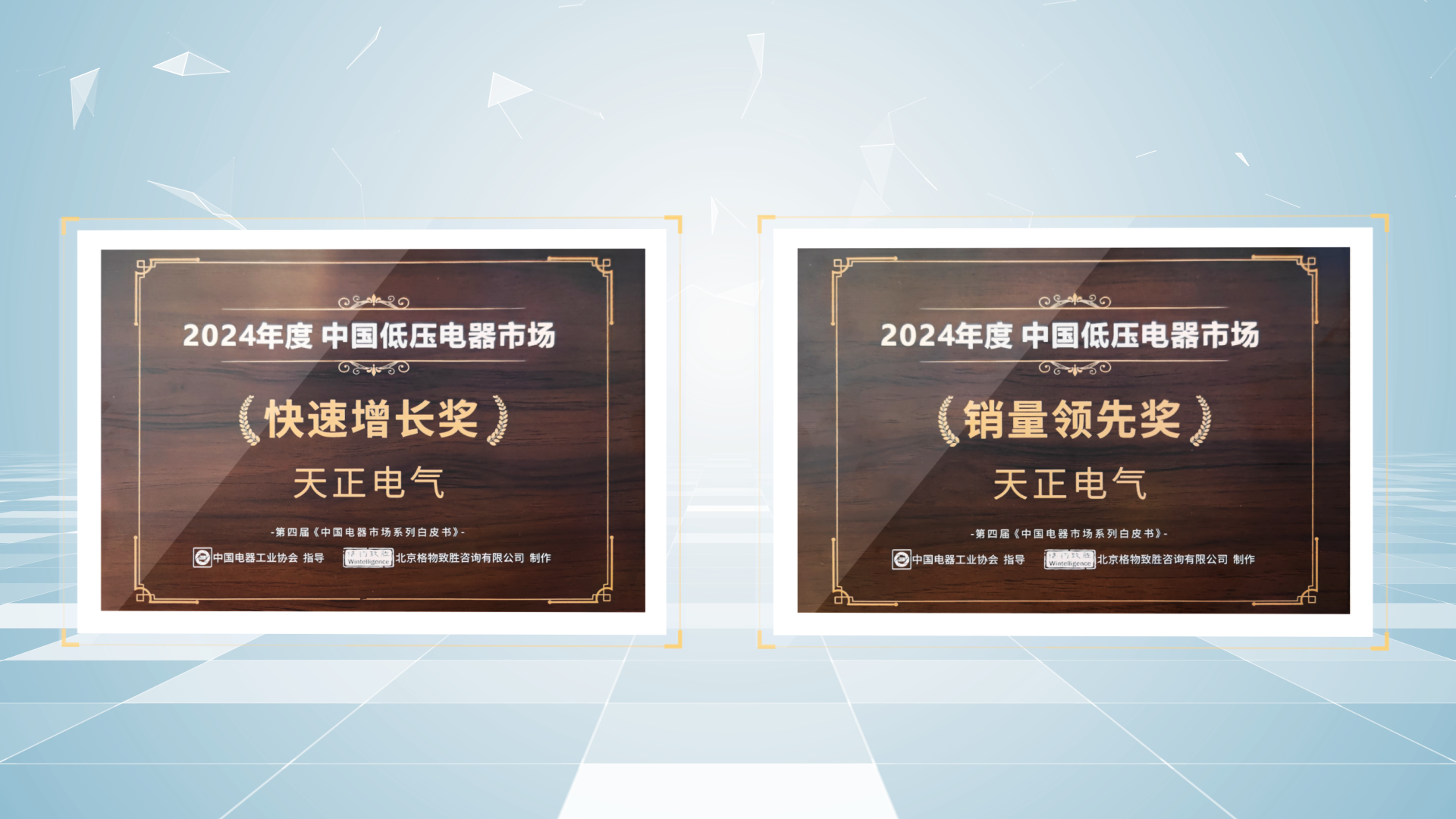銷量領(lǐng)先、快速增長(zhǎng)丨天正榮膺2項(xiàng)行業(yè)年度大獎(jiǎng)